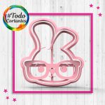 3553-Conejito-con-lentes.44