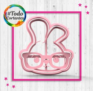 3553-Conejito-con-lentes.44