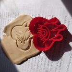 IMG_20211004_165027