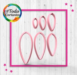 2646-Delia-hojas.33