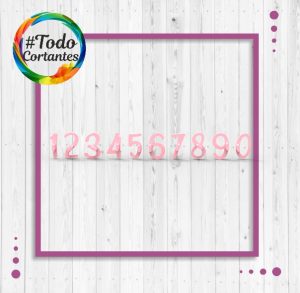 4580-Alley-garden-números-2cm-con-agarre.190