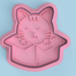 Gatito-en-caja