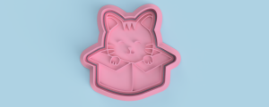 Gatito-en-caja