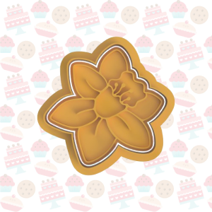 Daffodil-removebg-preview